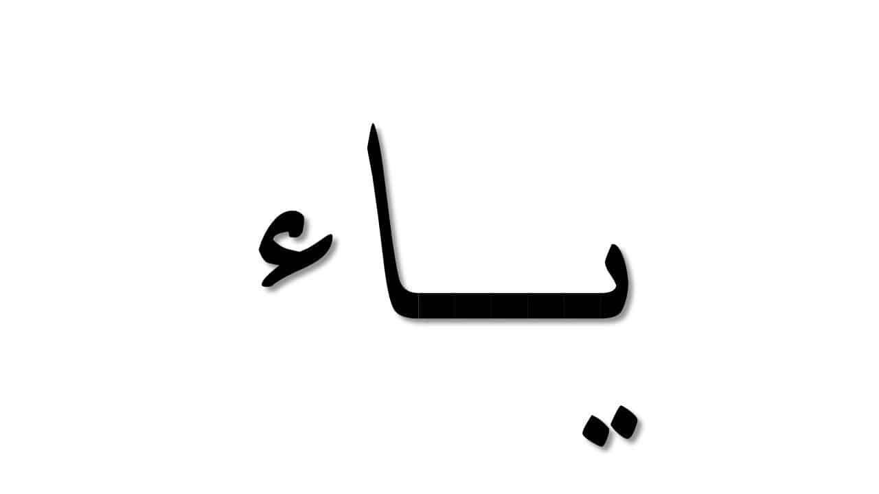 حيوان حرف ي، كثير من هذه الحيوانات 844 2