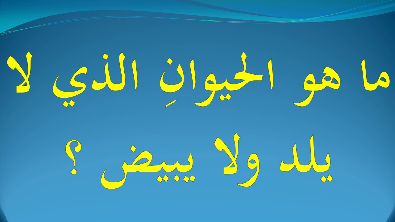 ما هو الحيوان الذي لا يلد ولا يبيض , حل لغز الحيوان الذي لا يلد ولا يبيض