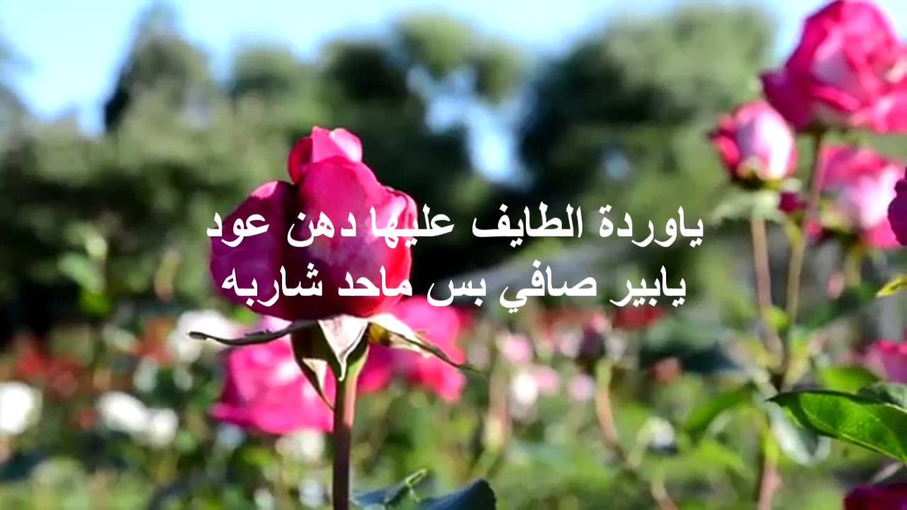 كلمات عن الزهور - هيا الروح والنسيم