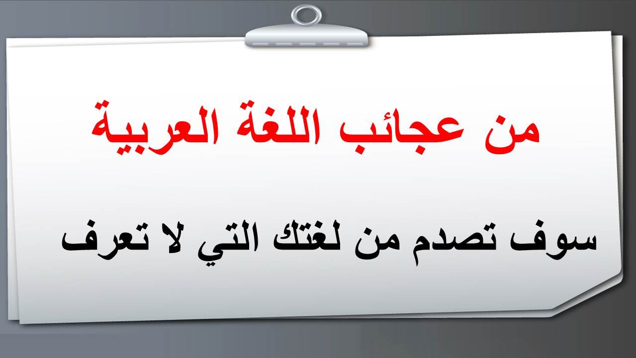 روائع اللغة العربية - نوادر وحكايات من تراث اللغة العربية رائعة