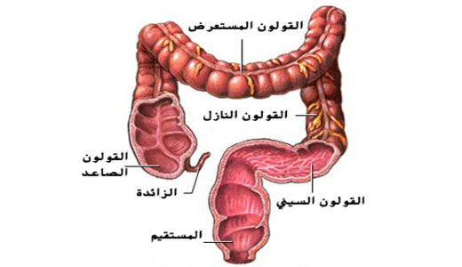 قولون عصبي اعراضه، اعراض اضطرابات القولون العصبي 280 1