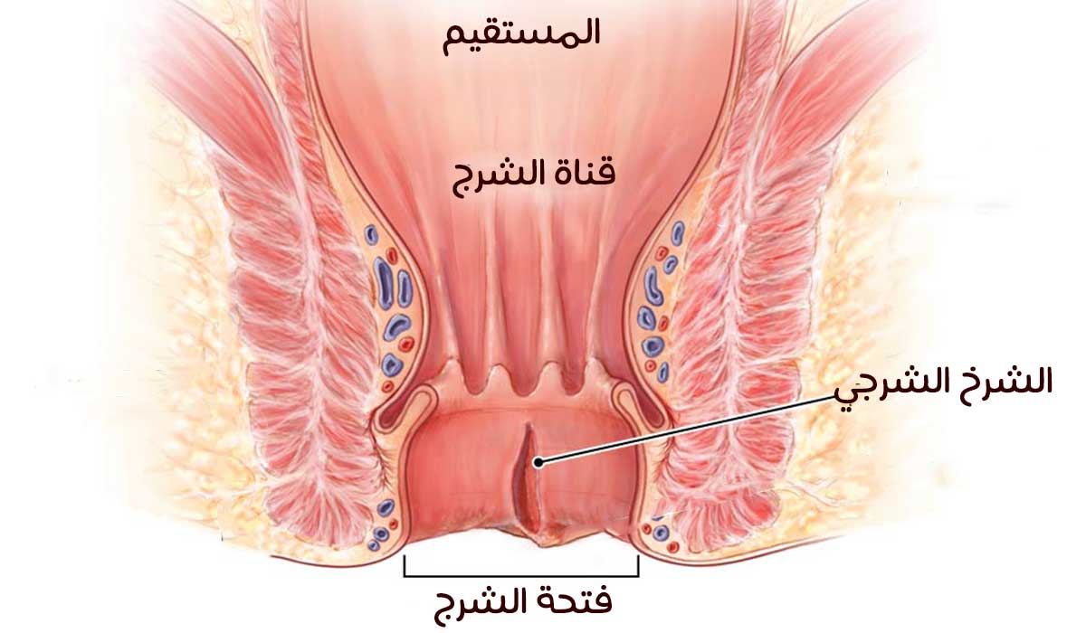 علاج الشرخ الشرجي - هو من اصعب التعب 6531 2