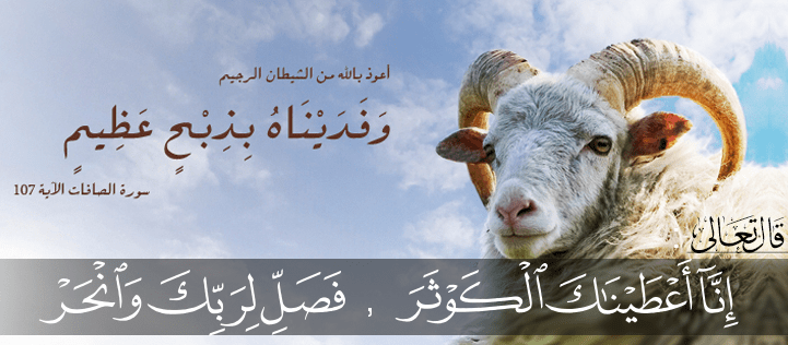 حكم الاضحية في عيد الاضحى - الاعياد الاساسيه عند المسلمين 1291 2