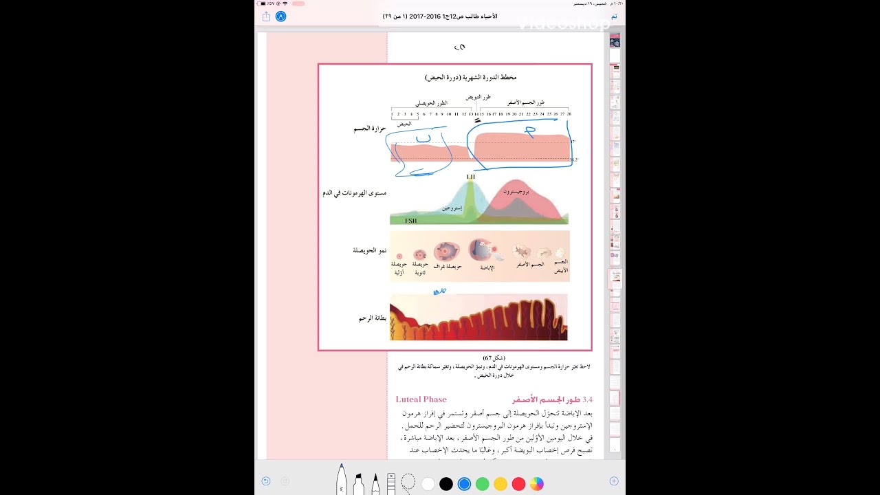 ما هو الجسم الاصفر , ما لا تعرفه عن الجسم الاصفر