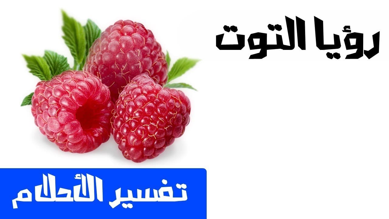 التوت الاسود في المنام 711 3