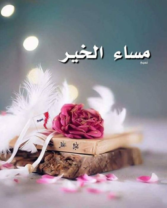 كلمات مساء الورد - عبارات مسائية معبرة عن المساء 503 6