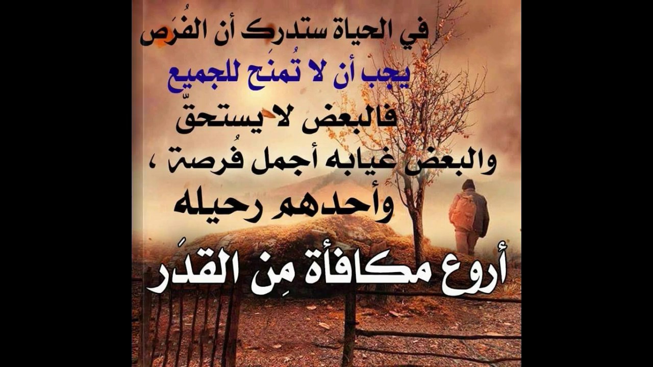 عبر وحكم عن الحياة - تعلم من العبر والحكم فى حياتك 3131 6