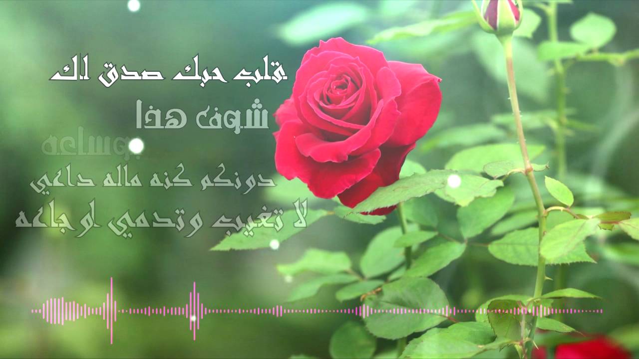 كلمات عن الزهور - هيا الروح والنسيم 6346 10