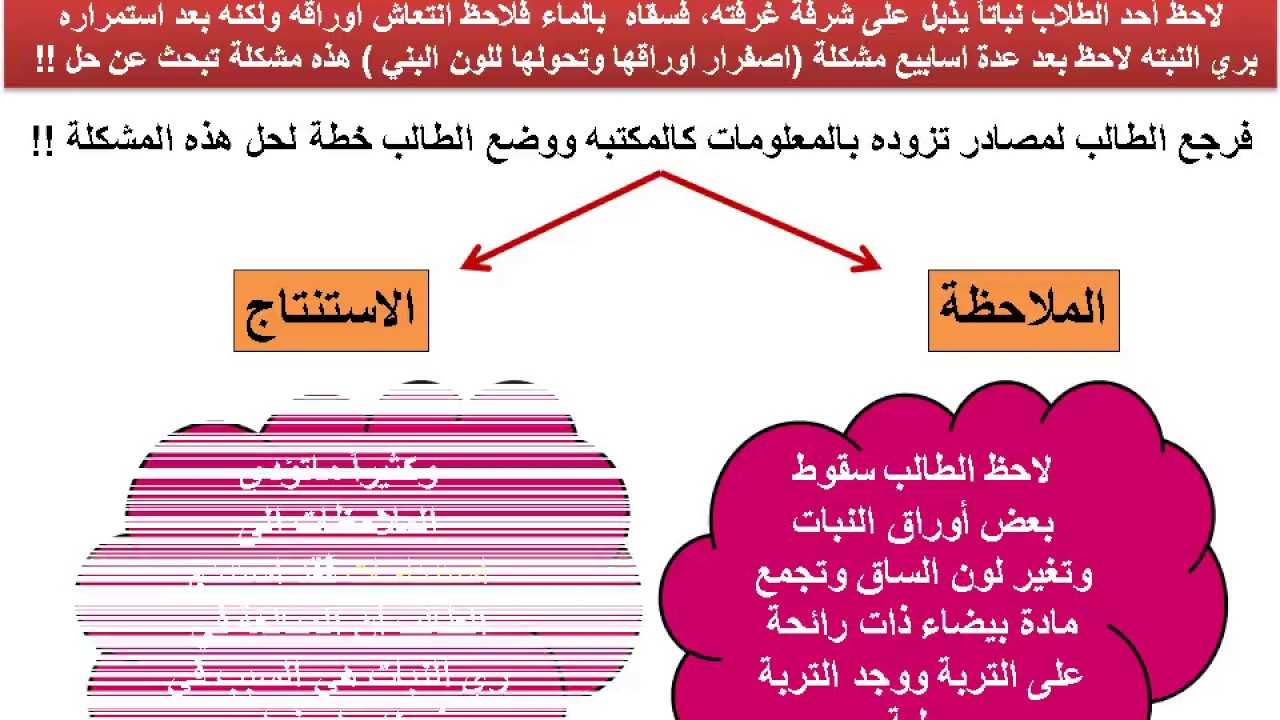 عروض حل المشكلات , لحل المشكلات عندي وبس