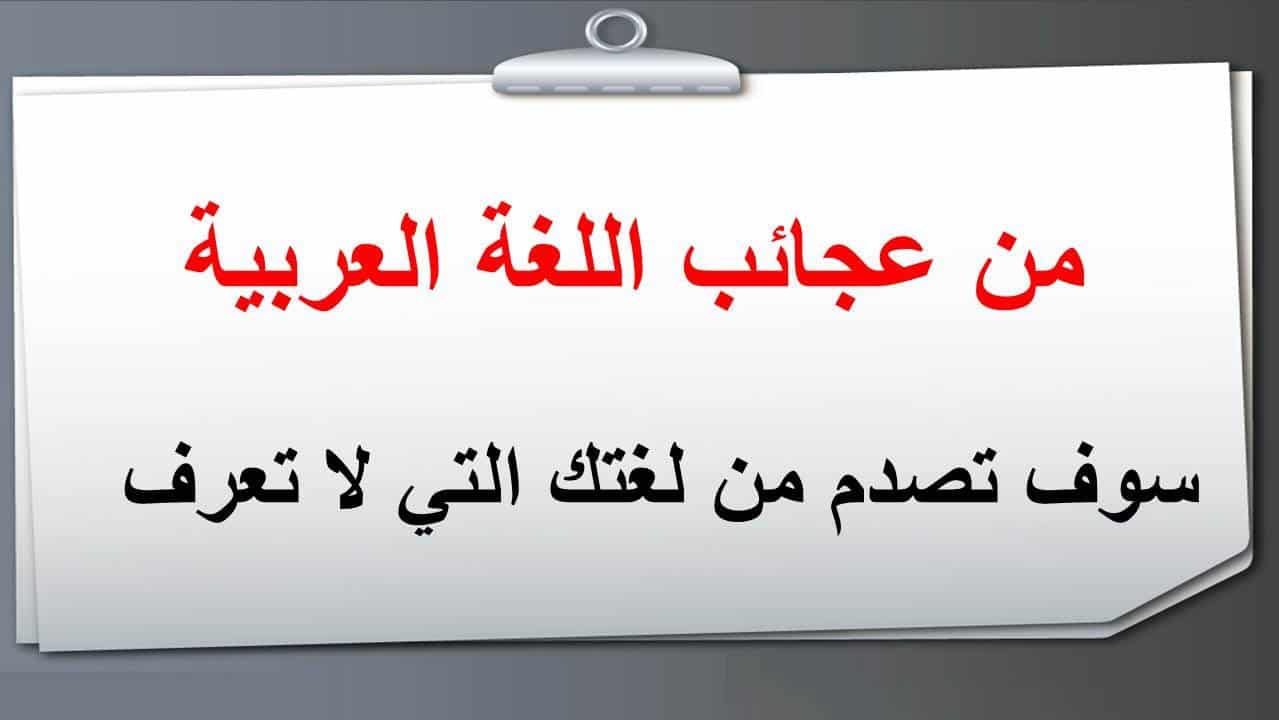 كلمة قصيرة عن اللغة العربية - هي ام اللغات 1486 1