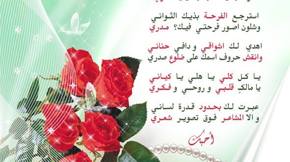 خواطر بمناسبة عيد الزواج- في عيد زواجي ماذا سوف اقول 236 3