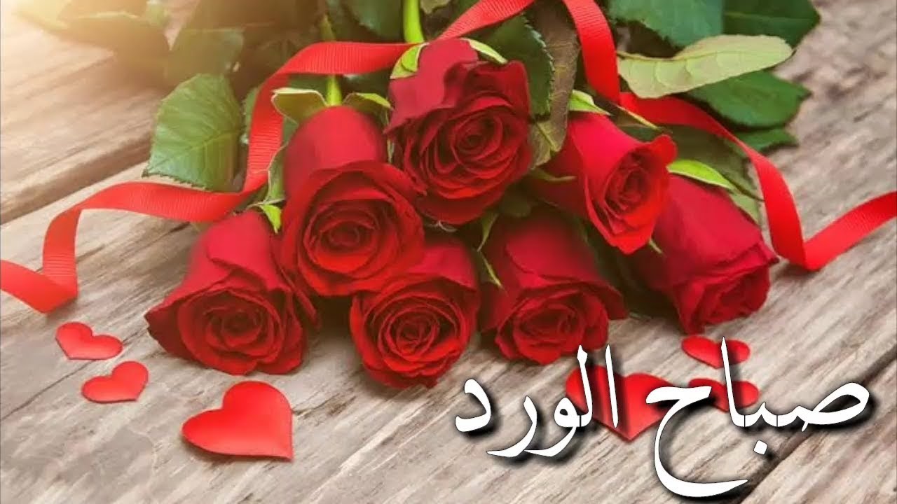 حبيبي صباح الورد - احلى صباح معاك 3838 10