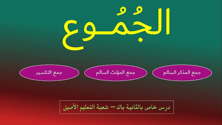 ما هو علم الصرف - تعلم اصول اللغة العربية مع الصرف 2840 1