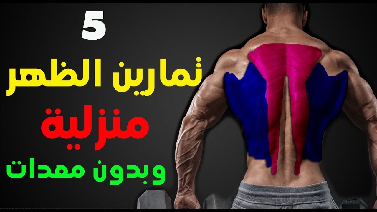 تقوية عضلات الظهر - لكل من يريد عضلات 2447 10