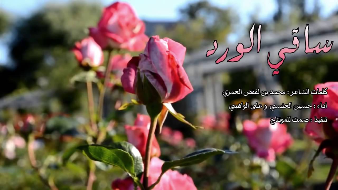 كلمات عن الزهور - هيا الروح والنسيم 6346 5