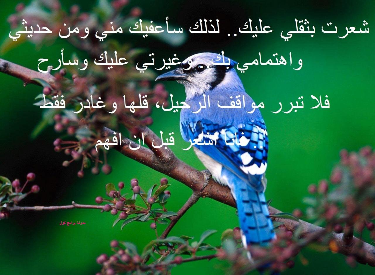 رسالة حب فراق، نضعها بسبب الوجع 2746 2