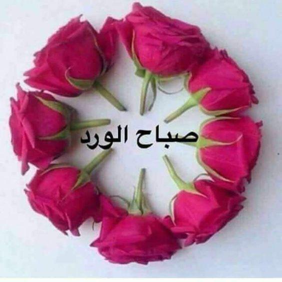 تنزيل صور صباح - رسائل صباحيه ومسائيه 2344 1