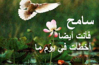 صور اعتذار للحبيب - اجدد خواطر الحب و الاعتذار 6005 6