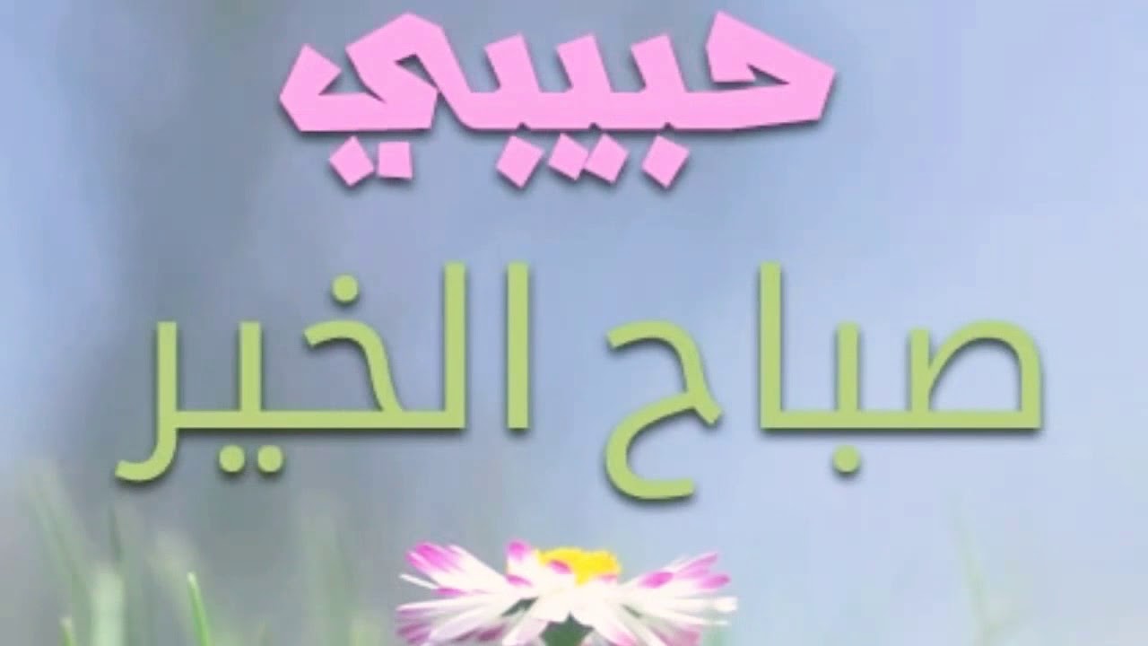 حبيبي صباح الورد - احلى صباح معاك 3838 4