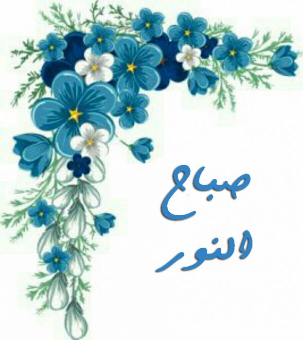 صباح النور صور - اروع تحيات الصباح بكلمات جميله 3448 3