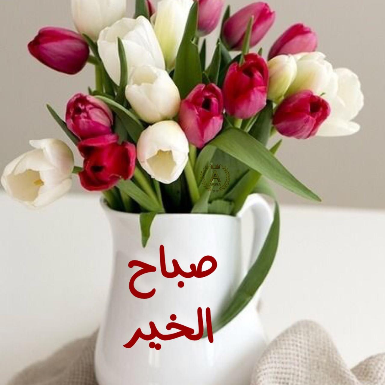 صباح الخير بالصور - صبح على احبابك بصورة حلوة 913 2