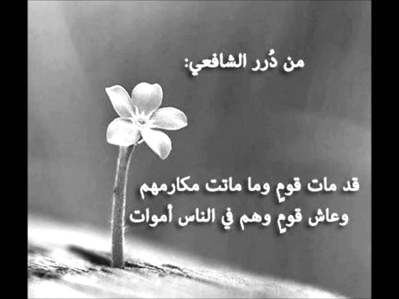 شعر في الاخلاق - ما احلي هذا الشعور 3775 7