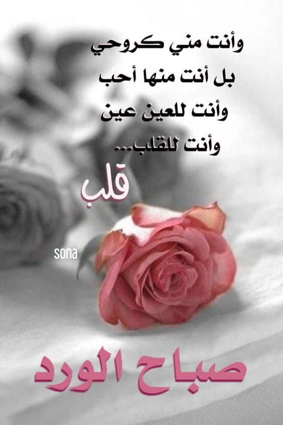 تنزيل صور صباح - رسائل صباحيه ومسائيه 2344 5