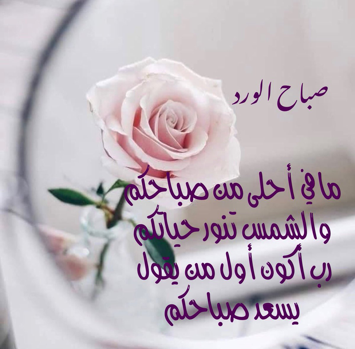 صباح الخير رسائل، أجمل صباح صباحك 765 10