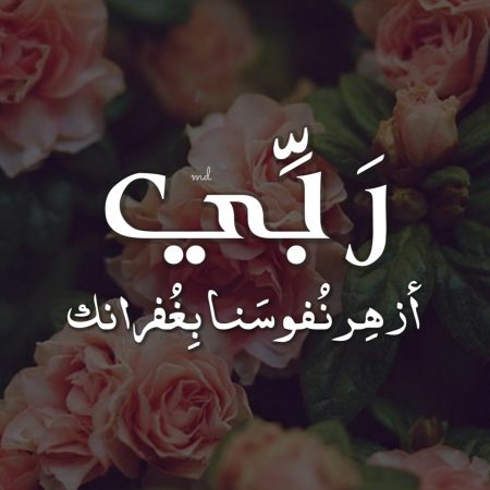 صور خلفيات حلوه للواتس - اجدد خلفيات جمييييله للواتس 3502 5