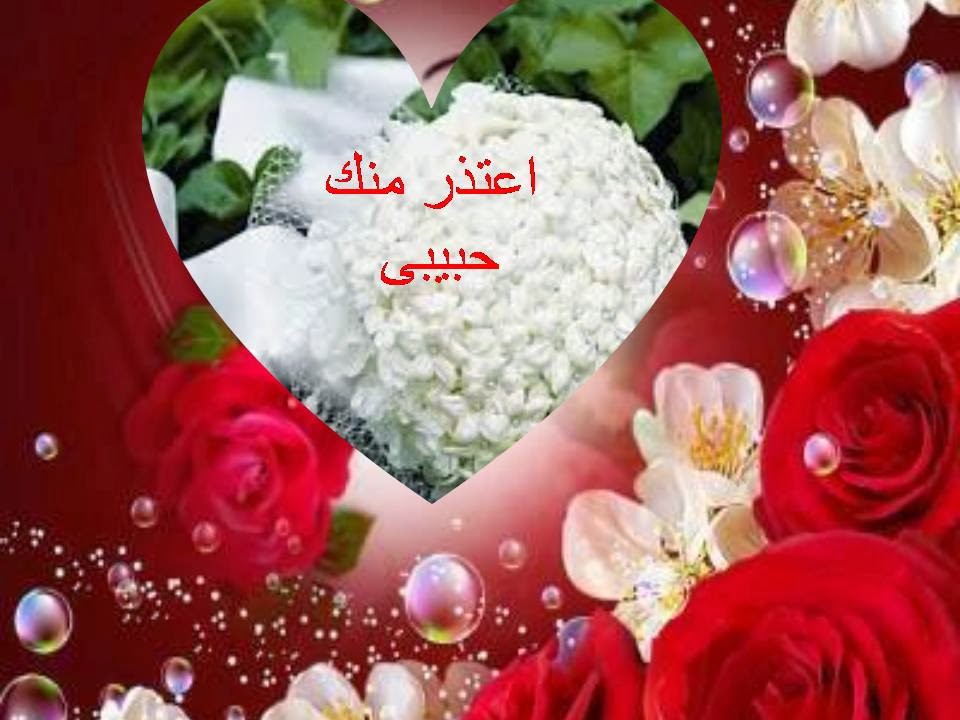 صور اعتذار للحبيب - اجدد خواطر الحب و الاعتذار 6005 1