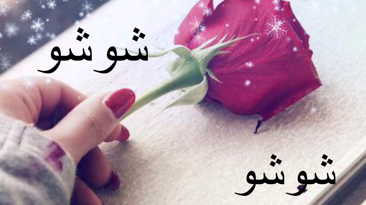 صور اسم شوشو - صور تهمك ي شوشو 2878 1