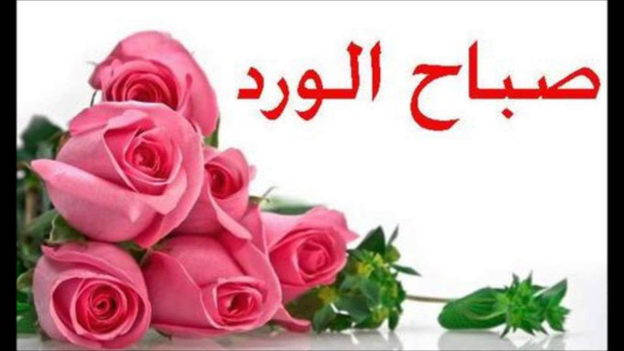 صور زهور صباح الخير - صبح على حبايبك بوردة حلوة 1909 12