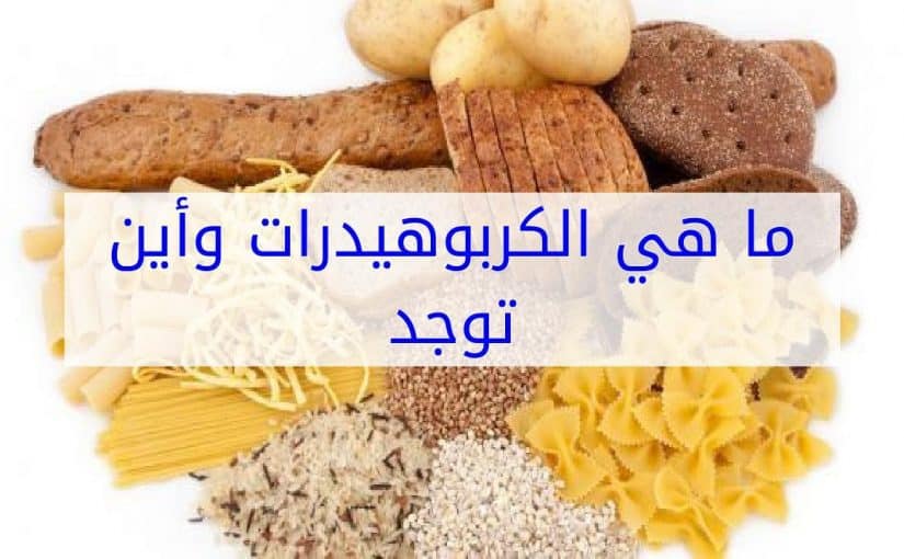 اين توجد الكربوهيدرات , اطعمة غنية بالكربوهيدرات واهميتها لك