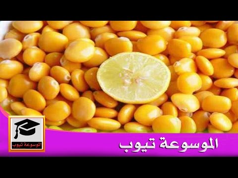 ماهو الترمس بالعراقي- لا يعرف في العراق الا في دول معينة عربية 452 1