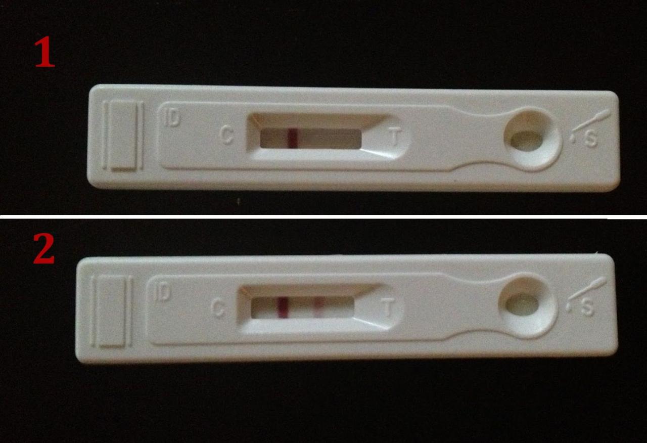 اختبار الحمل السريع - طرق تعرفك انك حامل في المنزل 1839 4