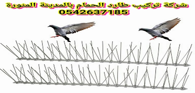 تركيب طارد الحمام بالمدينة المنورة - التخلص من ازعاج الحمام نهائيا 3115 3