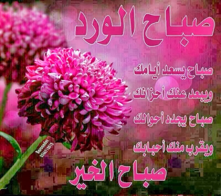 تنزيل صور صباح - رسائل صباحيه ومسائيه 2344 4