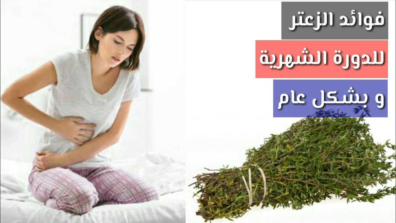 فوائد شاي الزعتر للدورة الشهرية , له فوائد كثيرة