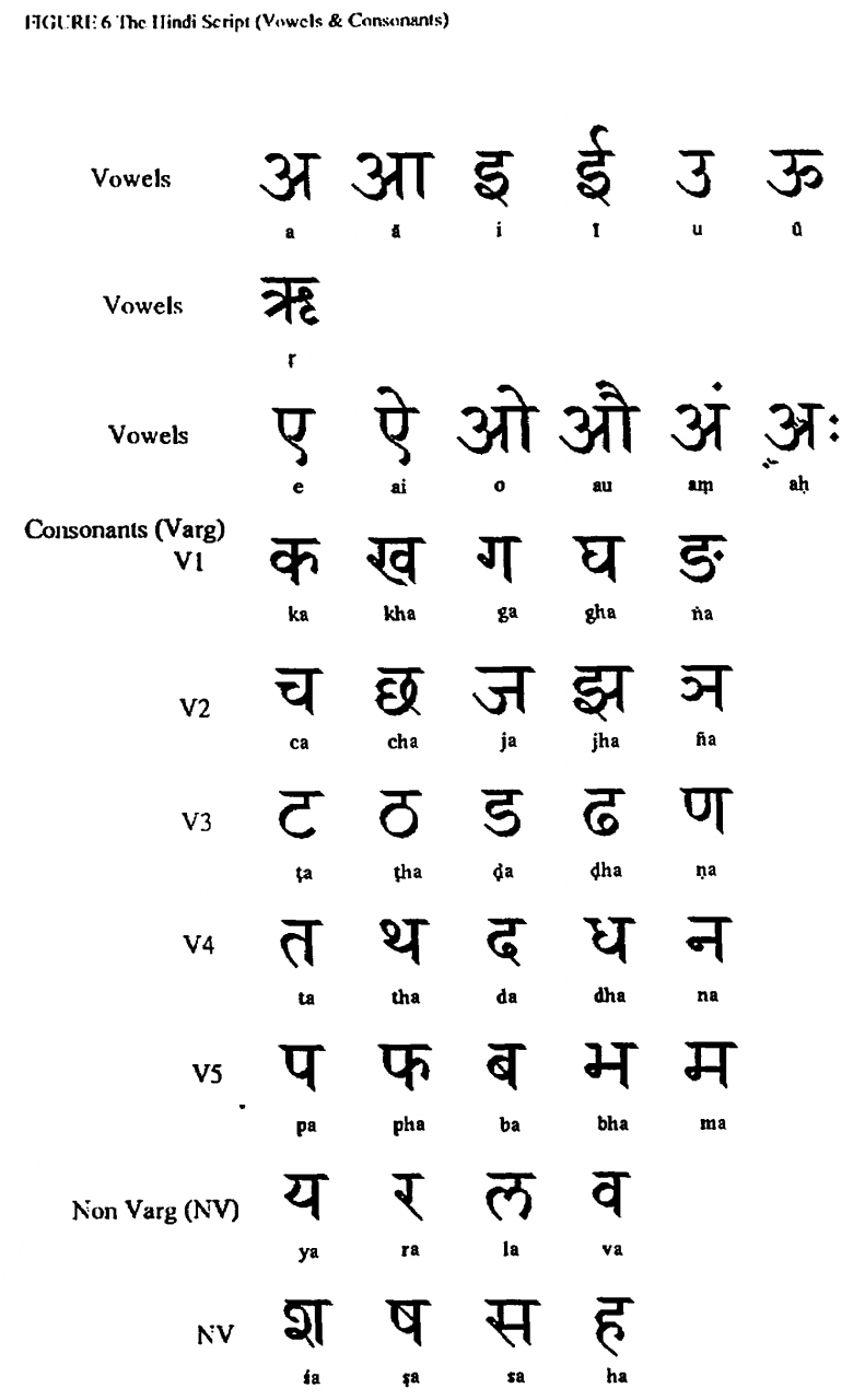 تعلم اللغة الهندية - تعلم اللغة الهندية بطريقة سهلة 6081