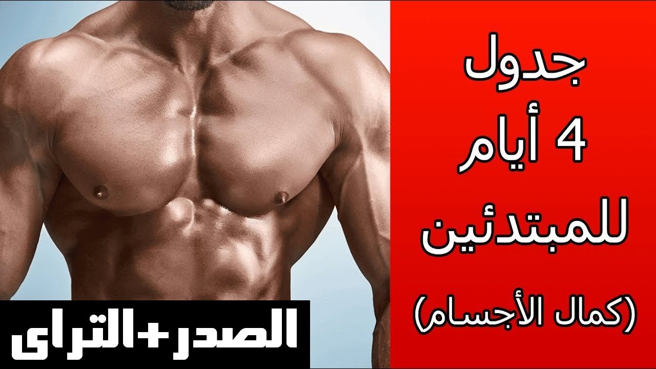 تدريب كمال أجسام، يهم كل محبين الرياضة 3724 9