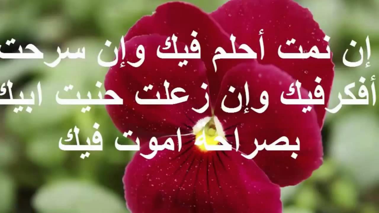 رسائل حب الحبيب - مسجات غرامية لحبيبى 4008