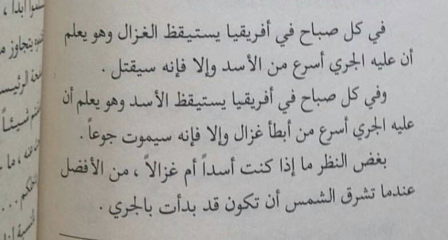 في كل صباح - كلمات معبره وعميقه عن الصباح 3197 11