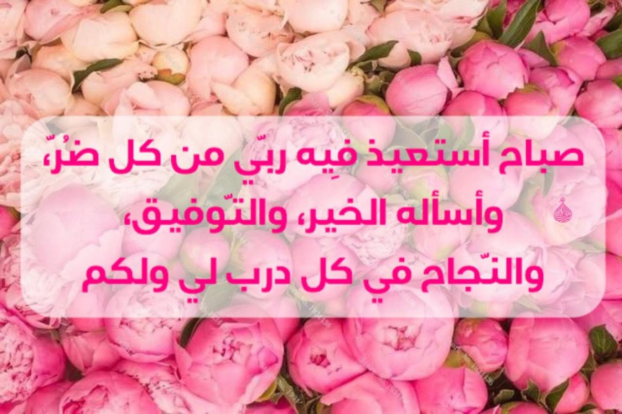 صور زهور صباح الخير - صبح على حبايبك بوردة حلوة 1909 3