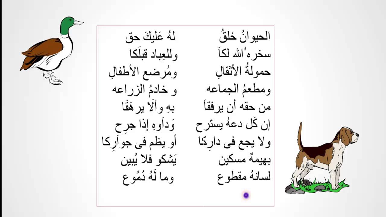 قصيدة عن الطفولة - تعرف علي اجمل المراحل العمريه في حياة الانسان 6200 2