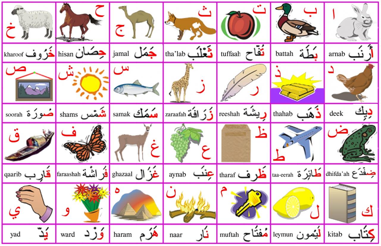 الحروف الابجدية العربية بالصور , علمي طفلك باسهل طريقه