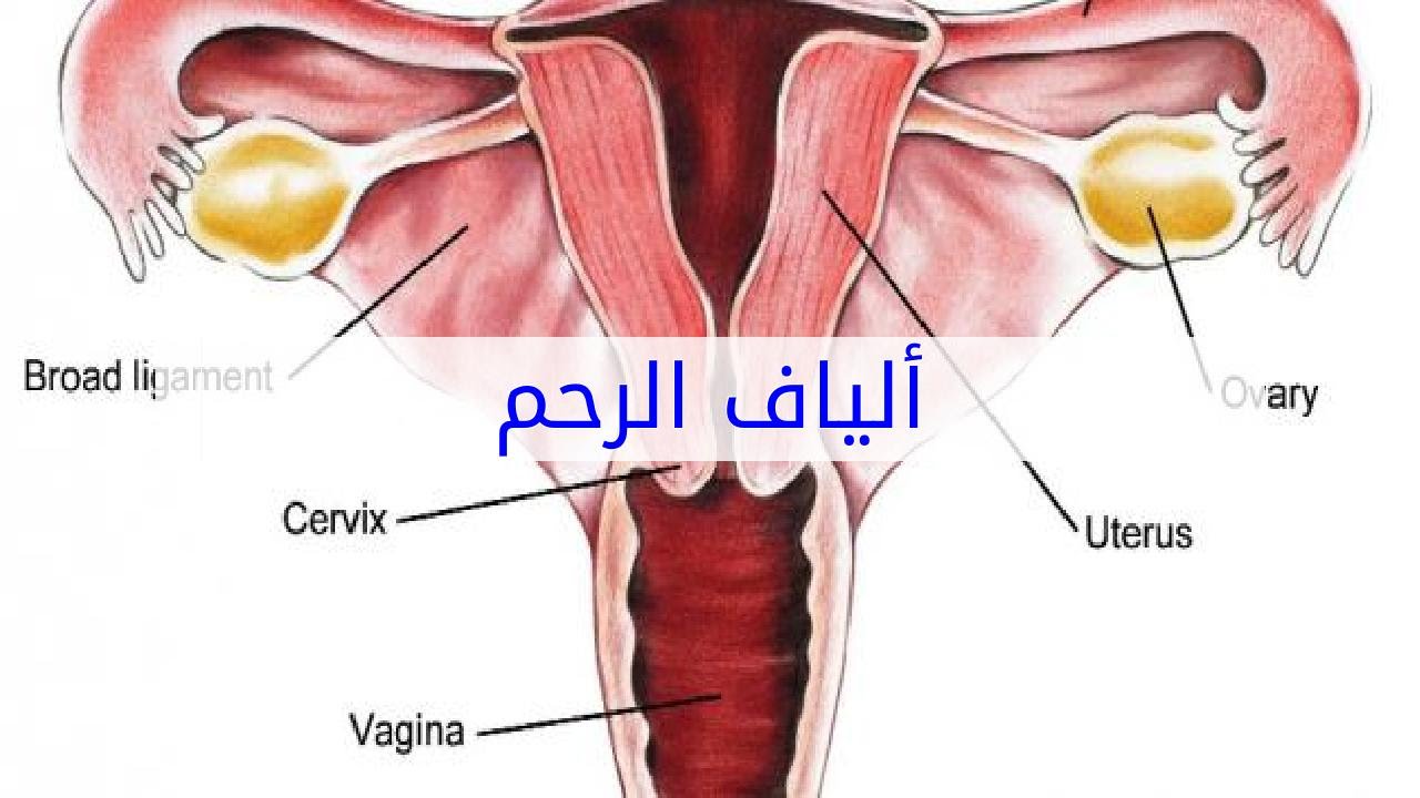 اسباب الياف الرحم , هل هو خطير